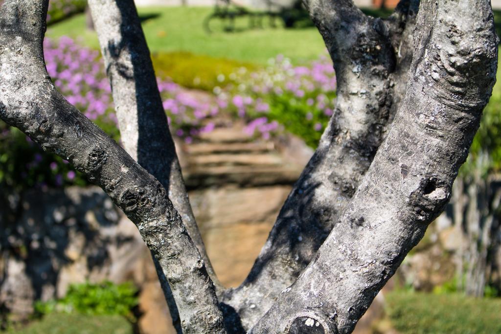 Quinta Da Eira Do Sol Villa Guimaraes Bagian luar foto